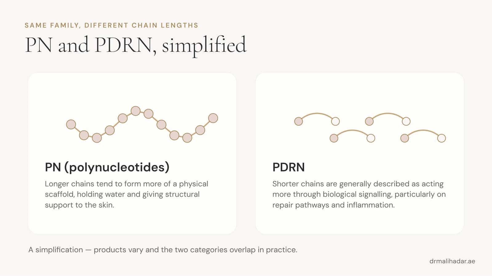 Long-chain polynucleotides forming a water-holding scaffold, beside shorter-chain PDRN